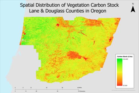 Vegetation Carbon Stock Distribution